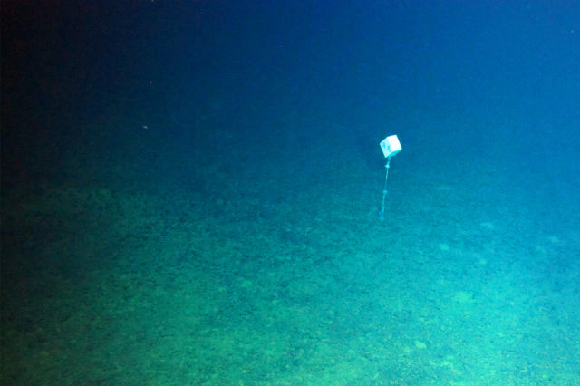 1522934201381132.jpeg 1522934201381132.jpeg