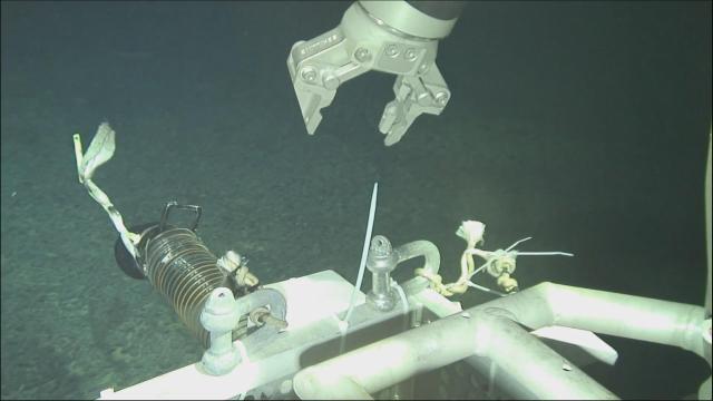 1522934231131703.jpeg 1522934231131703.jpeg