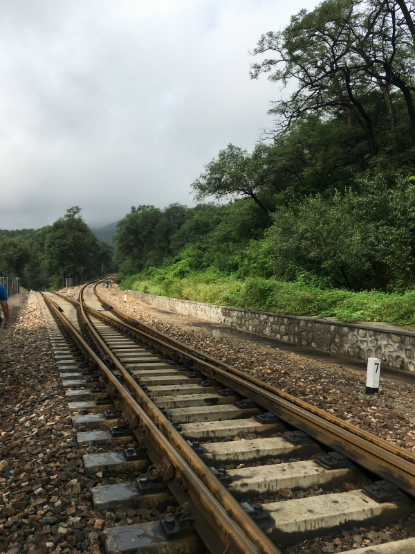 1534297303209952.jpg 微信图片_20180813001317_meitu_26.jpg