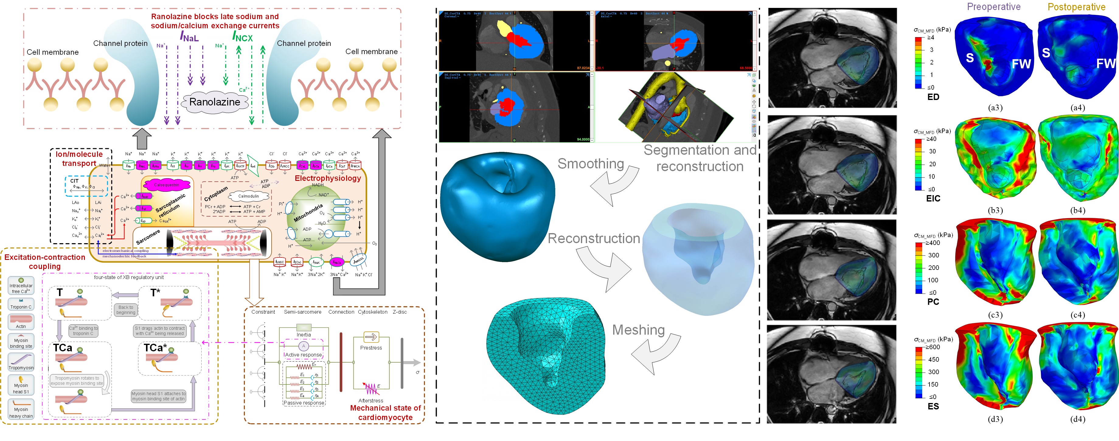 1754401267682422.jpg 图片5.jpg